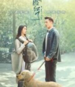 地球脸红了            (2020)