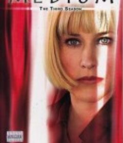 灵媒缉凶  第三季 Medium Season 3            (2006)