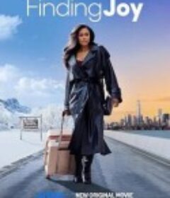 寻欢觅爱 Tyler Perry's Finding Joy            (2025)