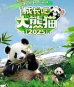 成长吧！大熊猫2025            (2025)