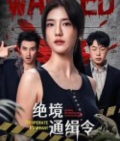 绝境通缉令            (2025)