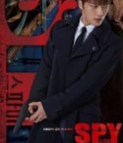 间谍 스파이            (2015)