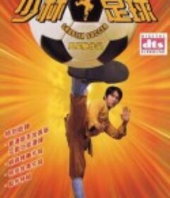 少林足球            (2001)