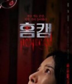 家用摄像头 홈캠            (2025)