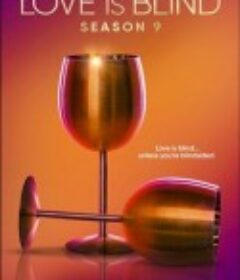 爱情盲选 第九季 Love Is Blind Season 9            (2025)