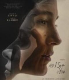 我所看到的都是你 All I See Is You            (2016)