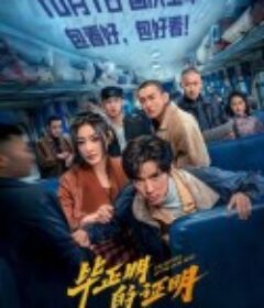 毕正明的证明            (2025)