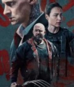 重返虎穴2 Druga Furioza            (2025)