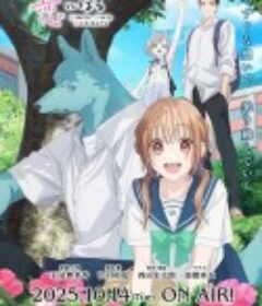 跨越种族与你相恋 キミと越えて恋になる            (2025)