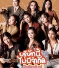 无限公司 บริษัทนี้ไม่มีจำกัด            (2025)