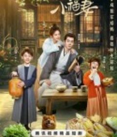 柴门小福妻            (2025)