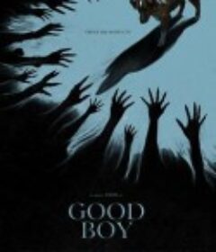 好狗狗 Good Boy            (2025)