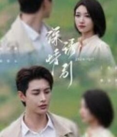 深情诱引之黎明恋歌            (2024)