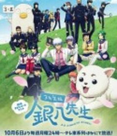 3年Z组银八老师 3年Z組銀八先生            (2025)