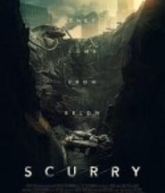 极速求生 Scurry            (2025)