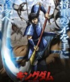 王者天下 第6季 キングダム 第6シリーズ            (2025)