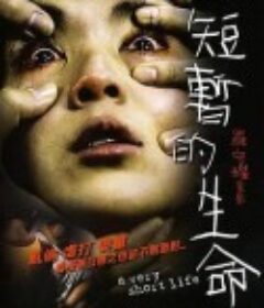 短暂的生命            (2009)
