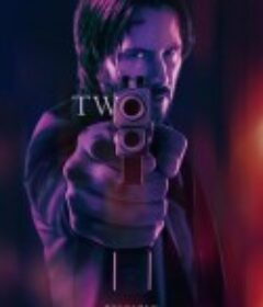 疾速追杀2 John Wick: Chapter 2            (2017)