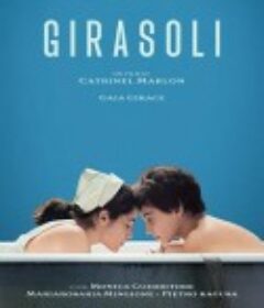 向日葵 GirasolI            (2023)