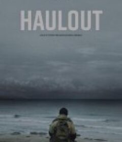 上岸 Haulout            (2022)