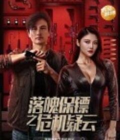 落魄保镖之危机疑云            (2022)