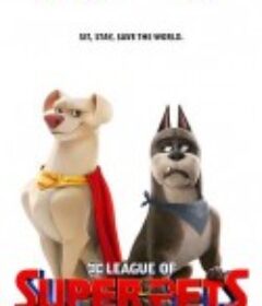 DC萌宠特遣队 DC League of Super-Pets            (2022)