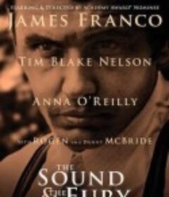 喧哗与骚动 The Sound and the Fury            (2014)