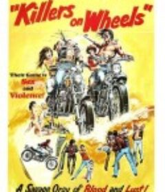 无法无天飞车党 無法無天飛車黨            (1976)