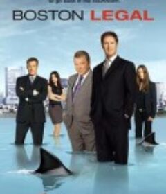 波士顿法律 第一季 Boston Legal Season 1            (2004)