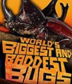 虫霸天下 World's Biggest and Baddest Bugs            (2009)