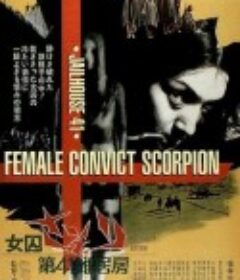 第41号女囚房 女囚さそり 第41雑居房            (1972)