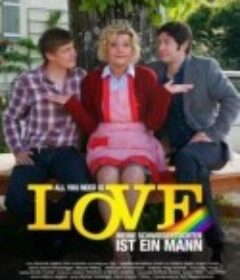爱即所求 All You Need is Love - Meine Schwiegertochter ist ein Mann            (2009)