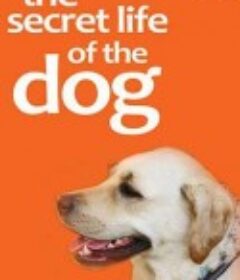 地平线系列：狗狗秘闻 Horizon: The Secret Life of the Dog            (2010)