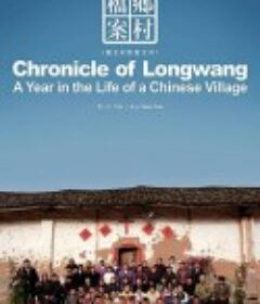 乡村档案：龙王村2006影像文件            (2008)