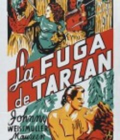 泰山逃亡 Tarzan Escapes            (1936)