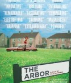 树荫 The Arbor            (2010)