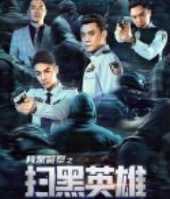 扫黑英雄            (2021)