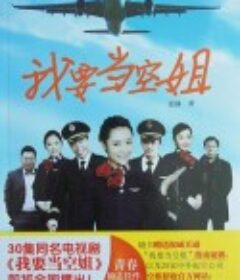我要当空姐            (2013)