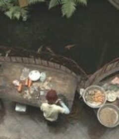 10-10            (2020)