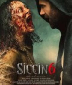 西辛6 Siccin 6            (2019)