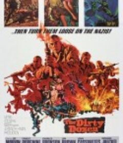 十二金刚 The Dirty Dozen            (1967)