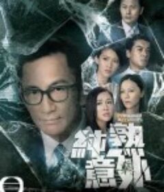 纯熟意外 純熟意外            (2016)