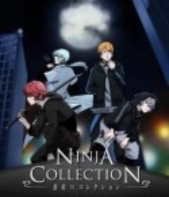 忍者收藏            (2020)
