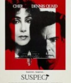 铁律柔情 Suspect            (1987)