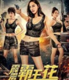 霹雳霸王花            (2020)