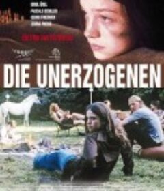 嬉皮未成年 Die Unerzogenen            (2007)