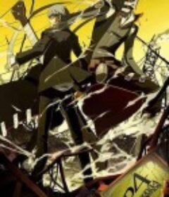 女神异闻录4 Persona 4: The Animation            (2011)