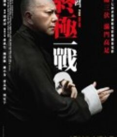 叶问：终极一战 葉問：終極一戰            (2013)