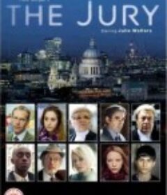 陪审团 第二季 The Jury II Season 2            (2011)