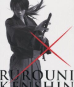 浪客剑心 るろうに剣心            (2012)